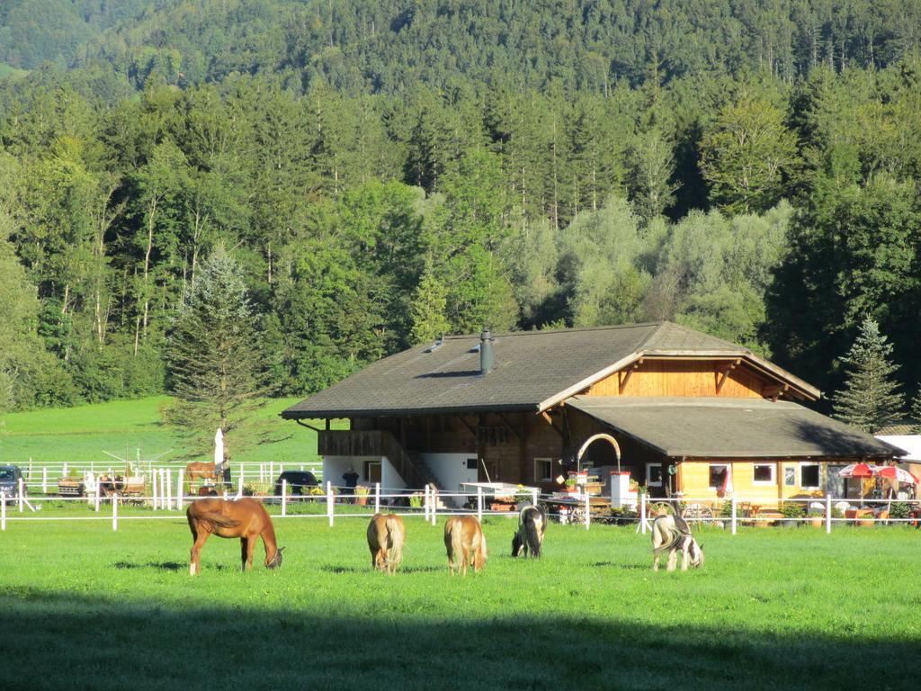 Villa Eichhof Brienzwiler Berner Oberland Exterior foto